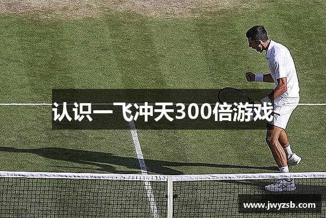认识一飞冲天300倍游戏